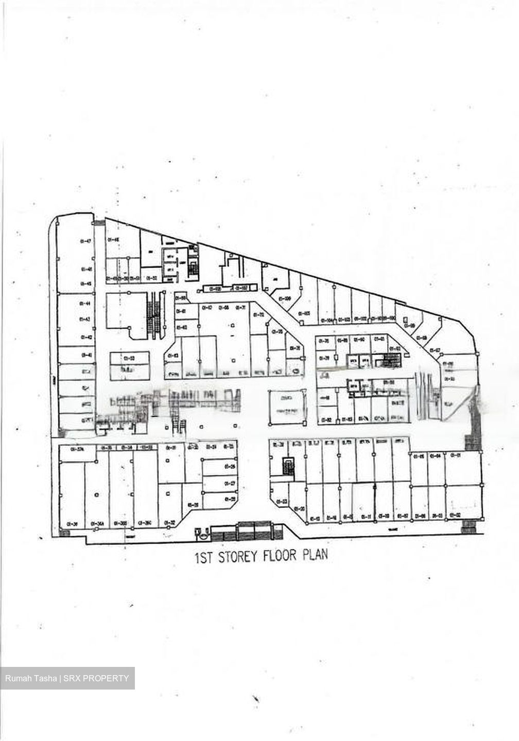 Lucky Plaza (D9), Shop House #454596531
